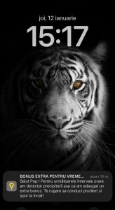 Create meme: white tigers, tiger