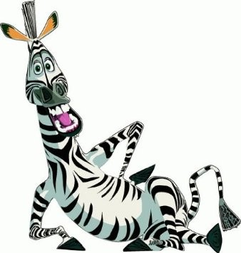 zebra of madagascar