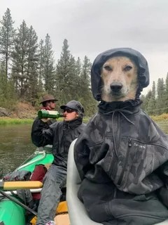 Create meme: dog fisherman, dog in the hood, cool photoshop