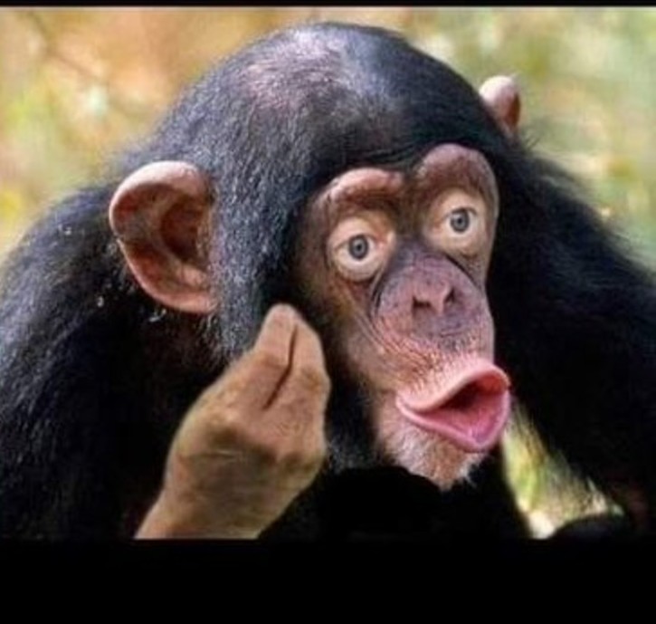Create meme: chimp meme, monkey lips, chimpanzees 