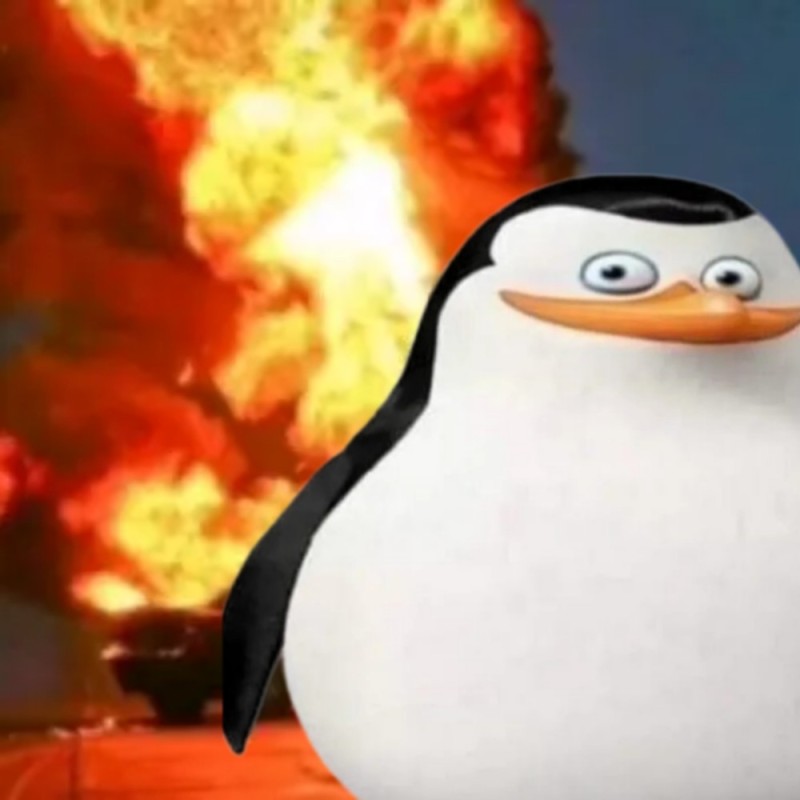Создать мем: горящий пингвин, рядовой пингвин мем, мем пингвин из мадагаскара