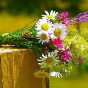 Создать мем: поздравительные открытки полевые цветы, красивые полевые цветы фото хорошего качества, полевые цветы фото букеты