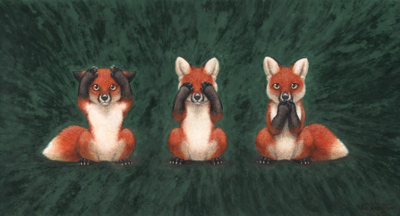 Create meme: Fox, red Fox, cute foxes