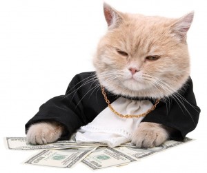 Create meme: cat, cat millionaire, business cat