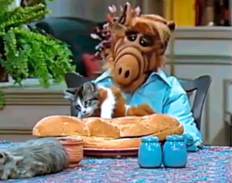 Создать мем: альф сериал 1986–1990 актёры, кот, альф готовит кота