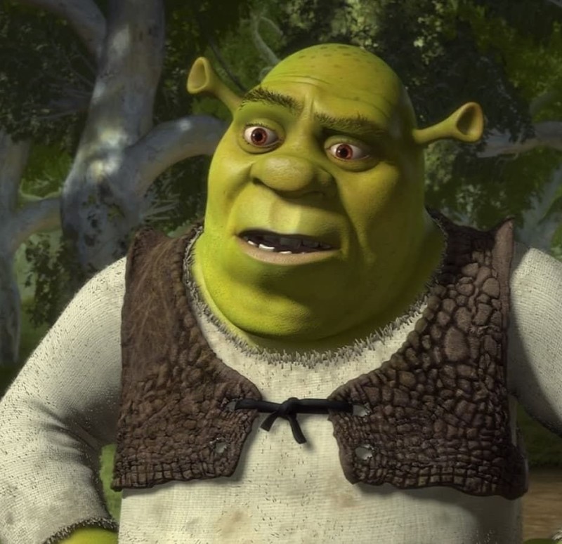 Create meme: Shrek the third, Shrek jokes, cartoon Shrek 