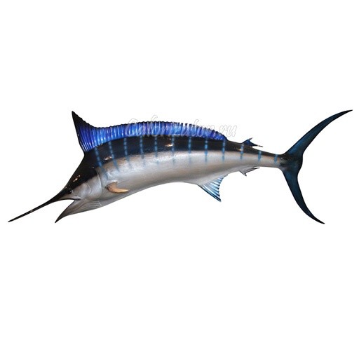 Create meme: swordfish, marlin fish, blue marlin fish