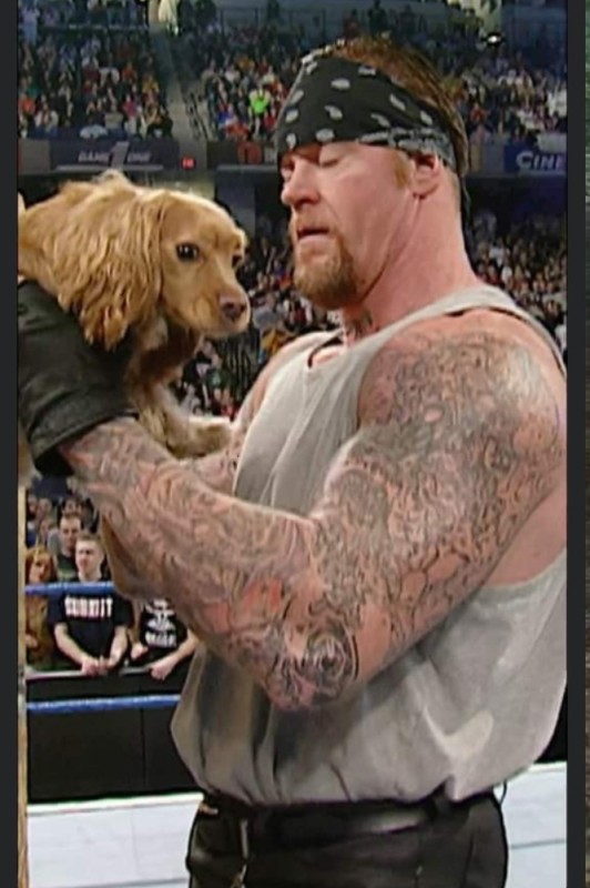 Create meme: undertaker wwe, undertaker and big show 1999, The Undertaker Wrestler 2003