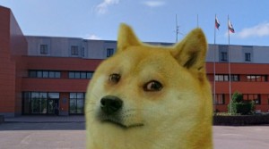 Create meme: doge, Shiba inu meme