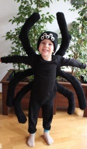 Create meme: spider costume with your own hands for a boy, spider costume for a boy, spider costume for halloween for a boy