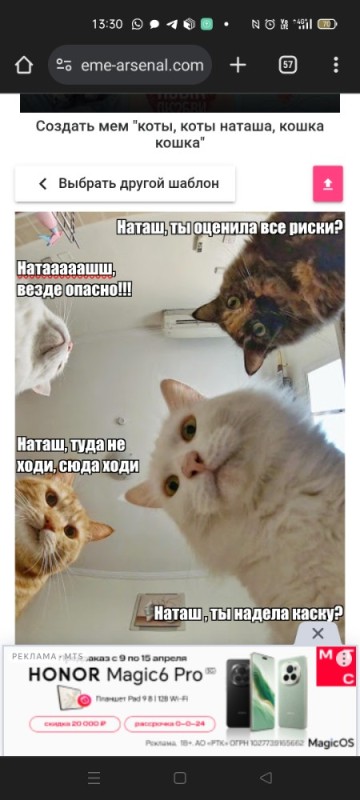 Create meme: Natasha and cats memes, natasha cats, cat meme 