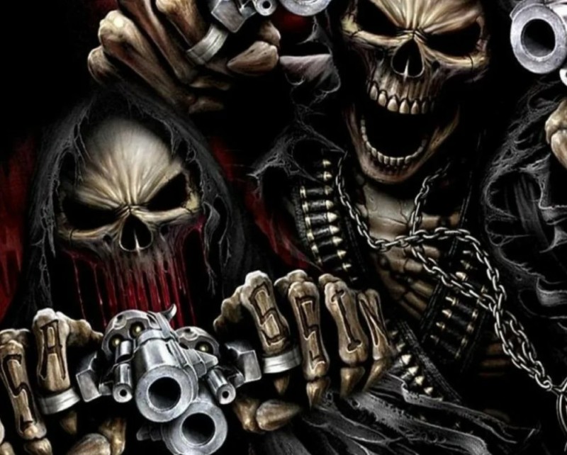 Create meme: a skeleton with a revolver, skeleton with a gun, skull with guns