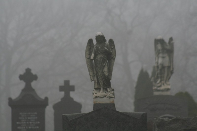 Create meme: cemetery statues of angels aesthetics, statues in the cemetery, cemetery in the fog