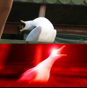 Создать мем: мем чайка, орущая чайка мем, орущая чайка