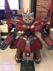 Create meme: Optimus Prime, transformers, cat transformer