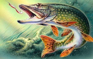 Create meme: pike fish picture, pike painting, pike