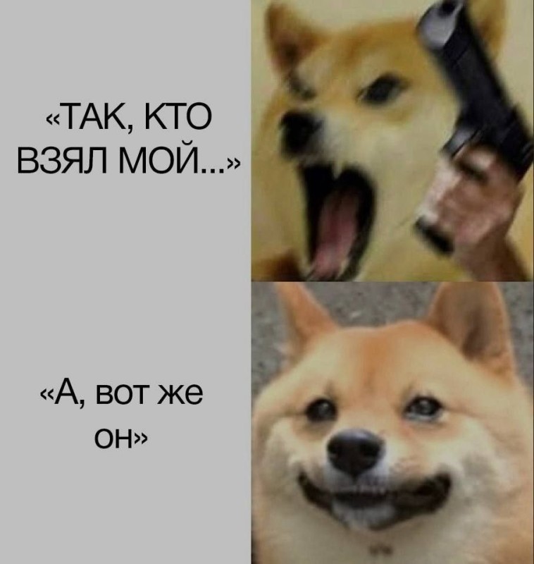 Create meme: doge memes, memes with dogs, doge 