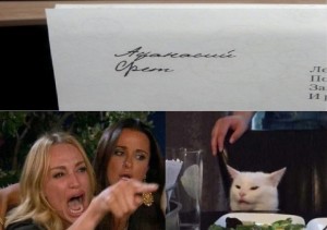 Создать мем: женщина орет на кота, мемы с котами, девушка орет на кота