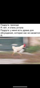 Create meme: running rooster, Text, chicken runs