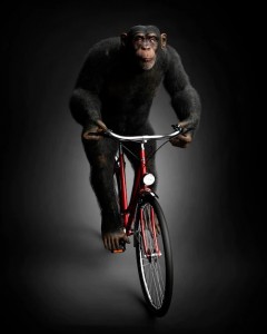 Create meme: monkey, darkness, monkey on a bike