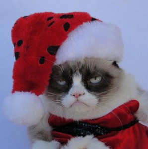 Create meme: Grumoy cat xmas