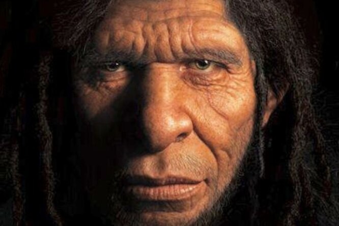 Create meme: neanderthal face, Neanderthal , homo sapiens