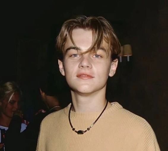 Create meme: leonardo dicaprio, young leonardo dicaprio, Leonardo DiCaprio young