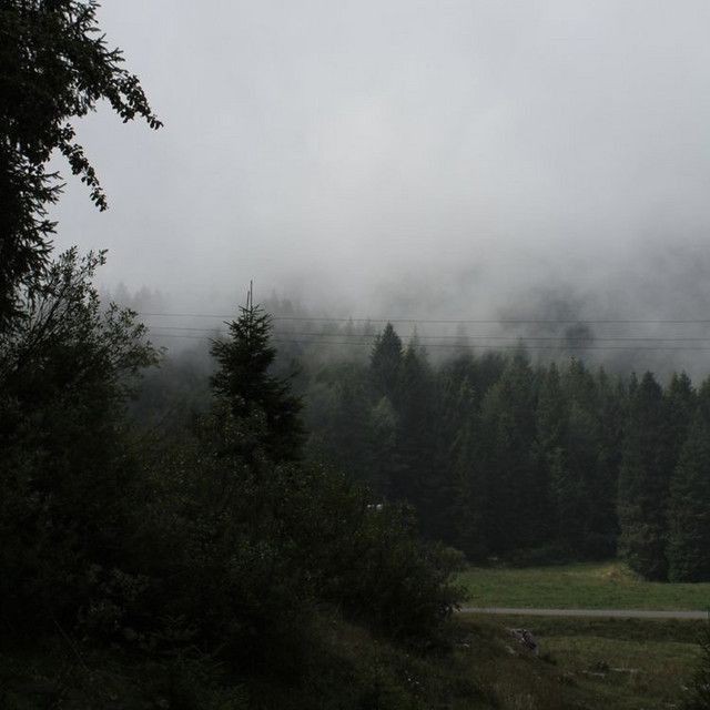 Create meme: forest fog, durmitor fog, mist mountains