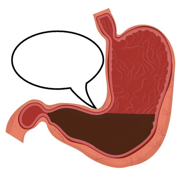 Create meme: stomach, drawing of the stomach, stomach ulcer