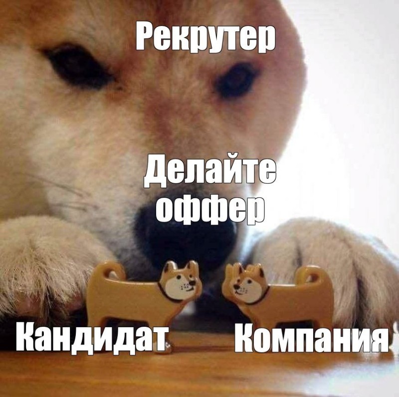 Create meme: Shiba inu memes, meme dog bites, memes with dogs