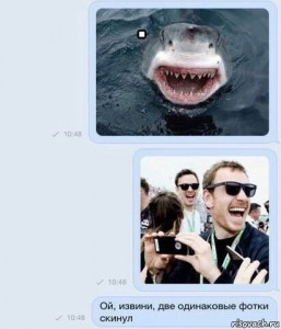 Создать мем: shark shark, shark, самые смешные акулы