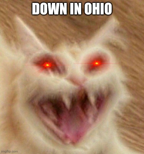 Создать мем: screaming cat, мем кот, рыжая кошечка