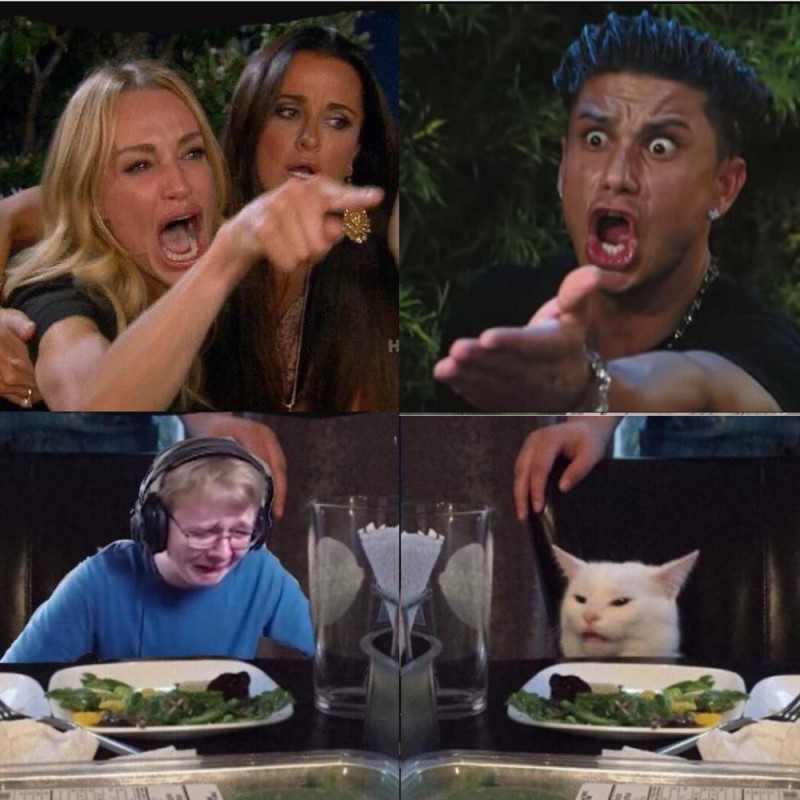 Create meme: cat meme , memes , memes with a cat at the table