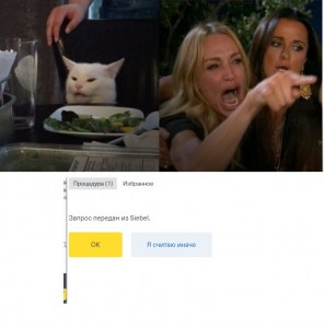 Create meme: MEM woman and the cat, memes, cats
