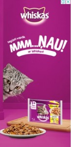 Create meme: Whiskas for kittens, cat food Whiskas, food Whiskas