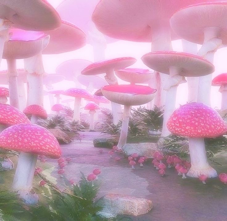 Create meme: fly agaric dreamcore, background mushrooms, mushrooms 