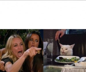 Create meme: screaming woman cat, cat at the table photo, meme, a woman yells at a cat meme