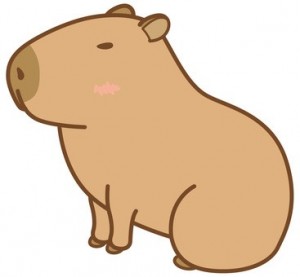 Create meme: capybara picture, the capybara