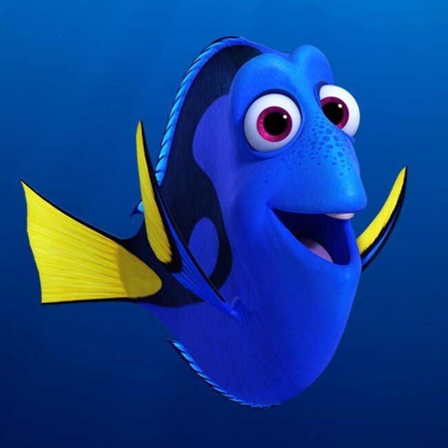 Create meme: fish Dori from Nemo, dori fish cartoon, fish from nemo