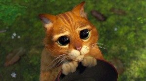 Create meme: the cat from Shrek, The cat from Shrek eyes, cat Shrek eyes