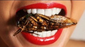 Создать мем: тараканы кусаются, рот таракана, таракан большой