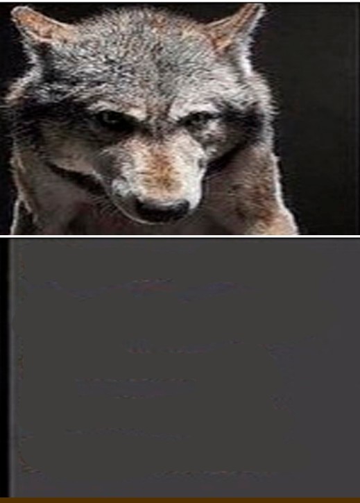 Создать мем: дерзкий волк мем, цитаты волка, волк волк