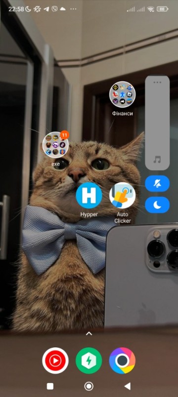 Создать мем: кошки смешные, скриншот, котики