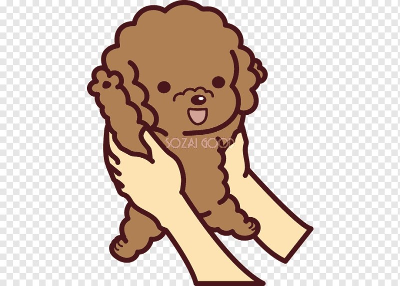 Create meme: sticker poodle, poodle telegram sticker, cute poodle