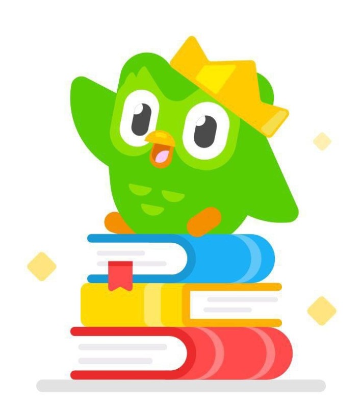 Create meme: duolingo toy, chalk Board, duolingo owl