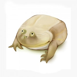 Create meme: toad frog