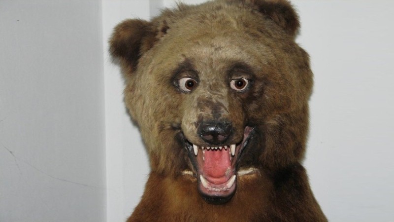 Создать мем: чучела медведей упоротые, чучело медведя, упоротое чучело медведя