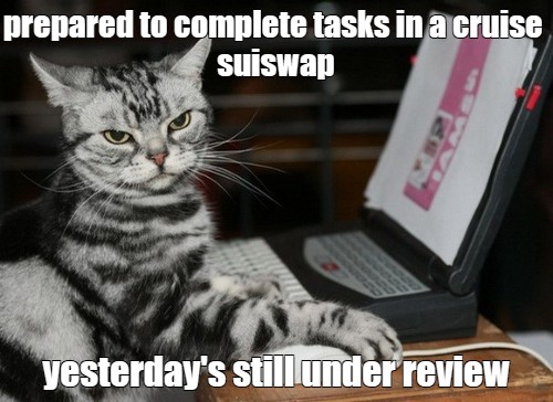 Создать мем: занятой кот, кот программист, кот с компом