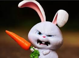 Create meme: evil Zaya, rabbit snowball, evil rabbit