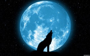 Создать мем: почему волки воют на луну, волк и луна, волк воет на луну